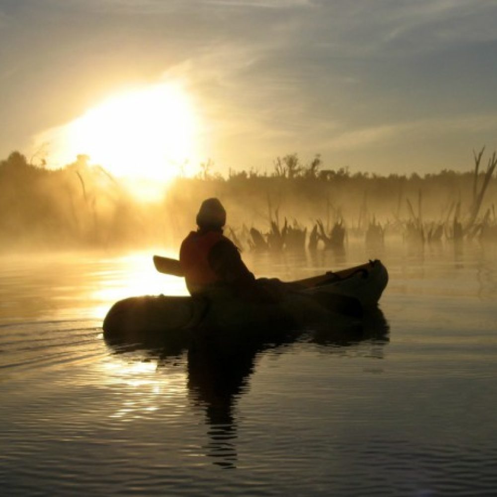 Kayak Bosque Hundido